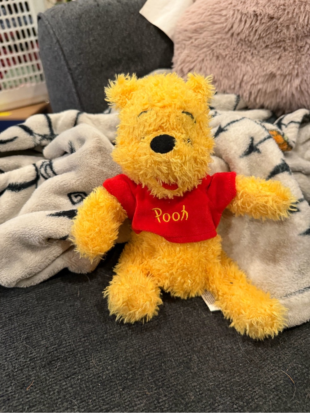 Disney Parks fuzzy Winnie the Pooh plush
